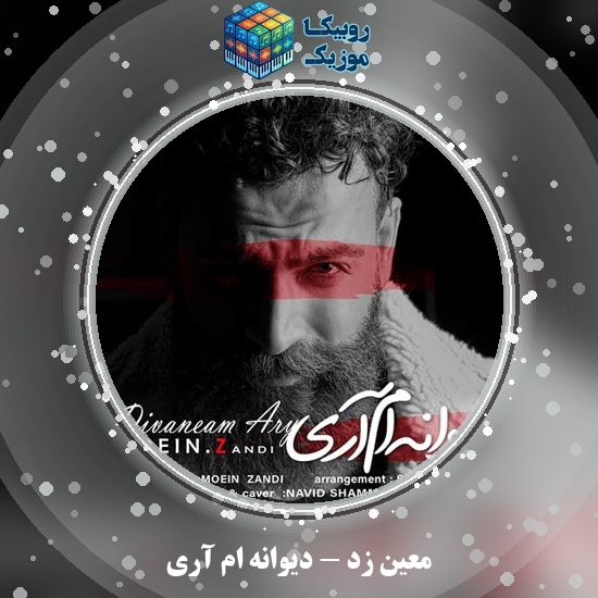 دانلود آهنگ دیوانه ام آری معین زد